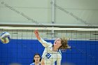 VB vs Plymouth St  Wheaton Women’s Volleyball vs Plymouth St. - Photo by Keith Nordstrom